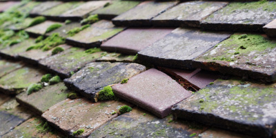 Llangynin roof repair costs